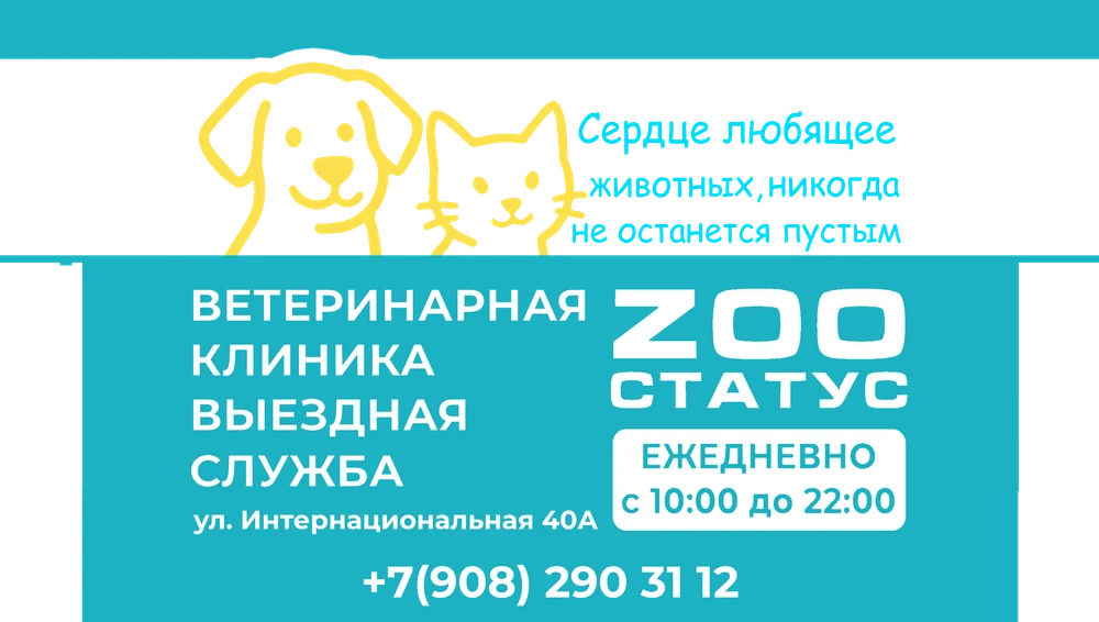 Современная многопрофильная ветеринарная клиника в Калининграде